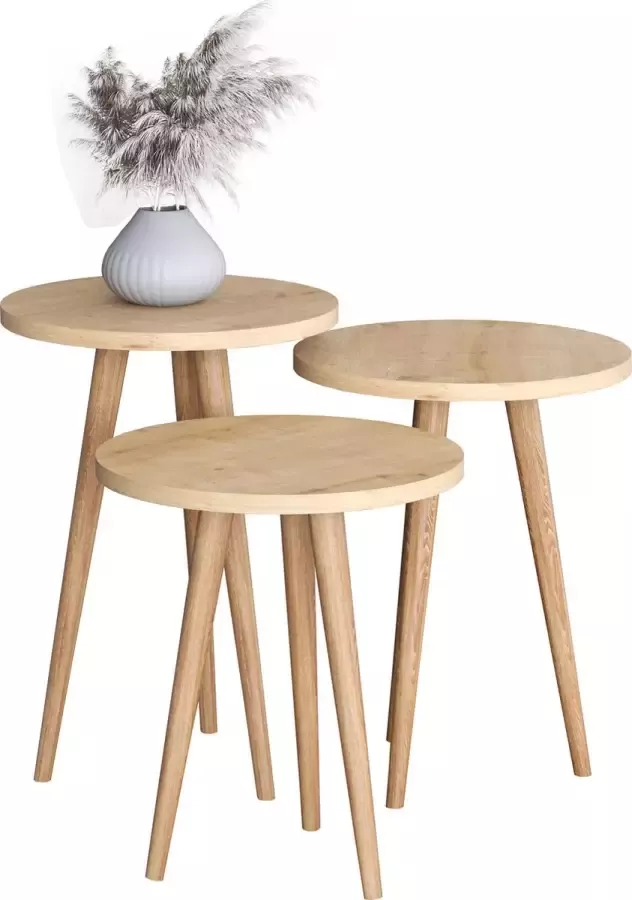 Vcm 3-delige set hout ronde bijzettafel salontafel sofatafel woonkamertafel Barilo 3-delige set hout ronde bijzettafel salontafel sofatafel woonkamertafel Barilo - Foto 2
