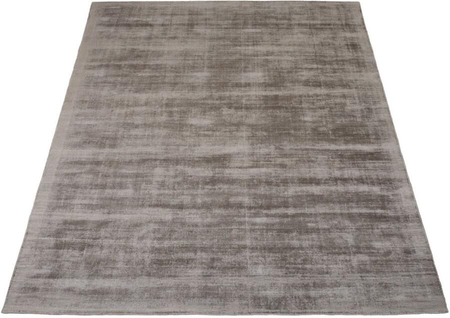 Veer Carpets Vloerkleed Cos Viscose Taupe 240 x 340 cm