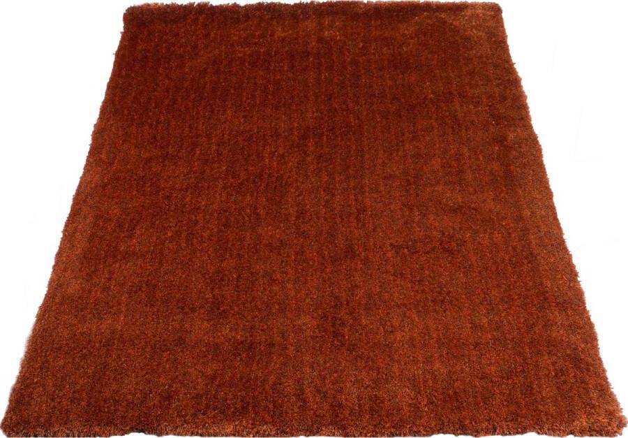Veer Carpets Karpet Lago Terra 63 160 x 230 cm