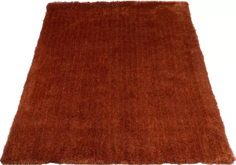 Veer Carpets Karpet Lago Terra 63 200 x 200 cm - Foto 1