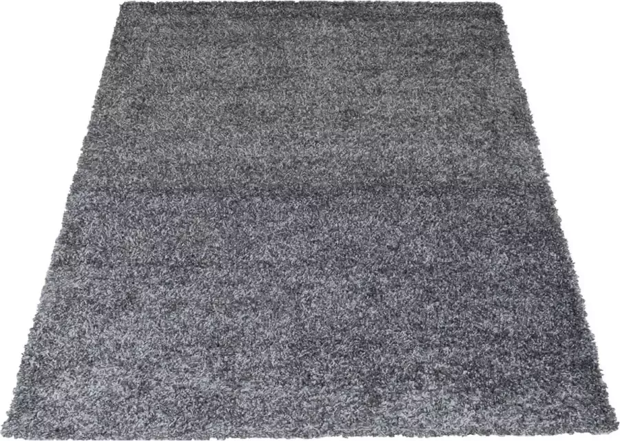 Veer Carpets Vloerkleed Buddy Antraciet 160 x 230 cm