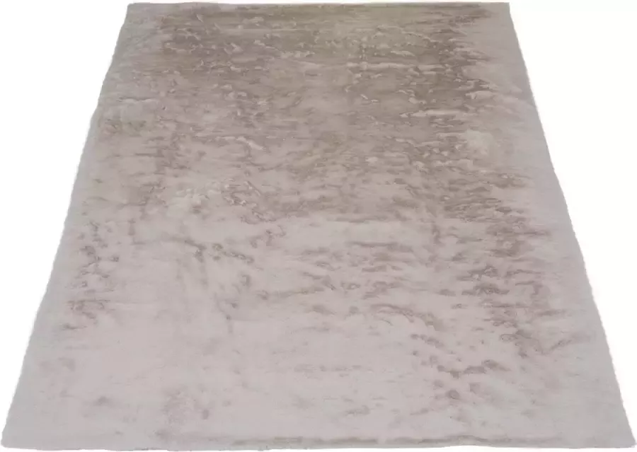 Veer Carpets Vloerkleed Gentle Beige 70 140 x 200 cm