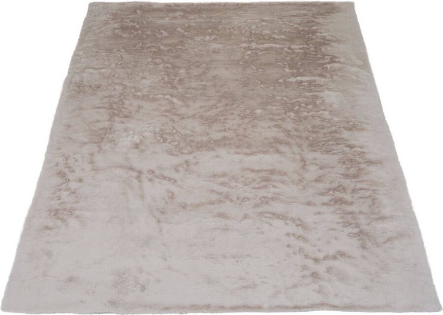 Veer Carpets Vloerkleed Gentle Beige 70 160 x 230 cm