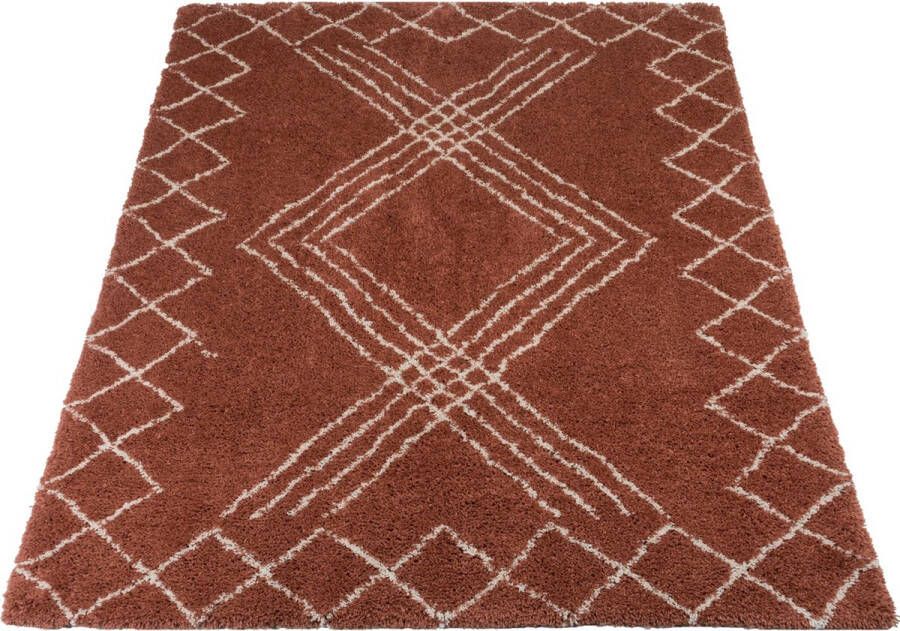 Veer Carpets Vloerkleed Jim Terra 200 x 280 cm