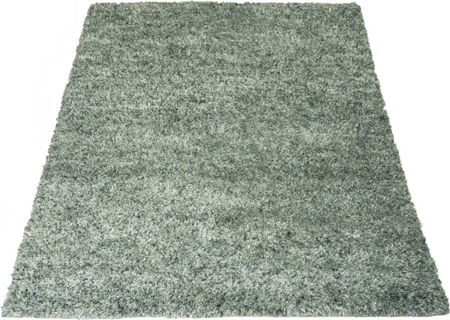 Veer Carpets Vloerkleed Zumba C5 Green 160 x 230 cm