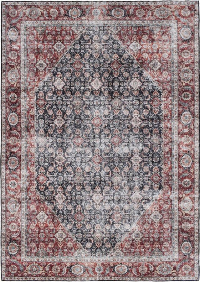 Vercai Rugs Toucan Collectie Laagpolig Vloerkleed Machine Wasbaar Polyester Marine Rood 200x290 cm