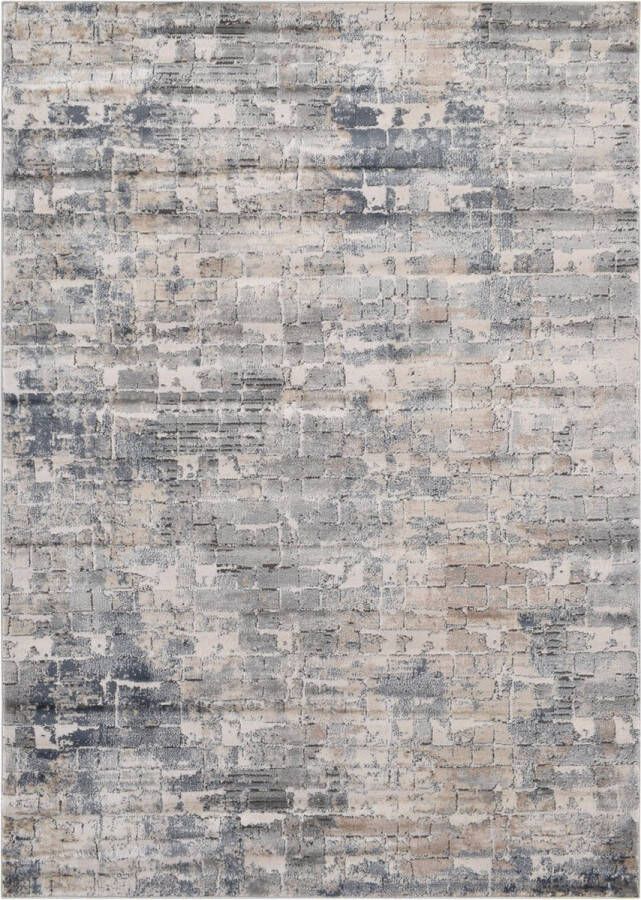 Vercai Rugs Oregon Collectie Hoogpolig Vloerkleed Zacht Tapijt voor Woonkamer Polyester Grijs 200x290 cm