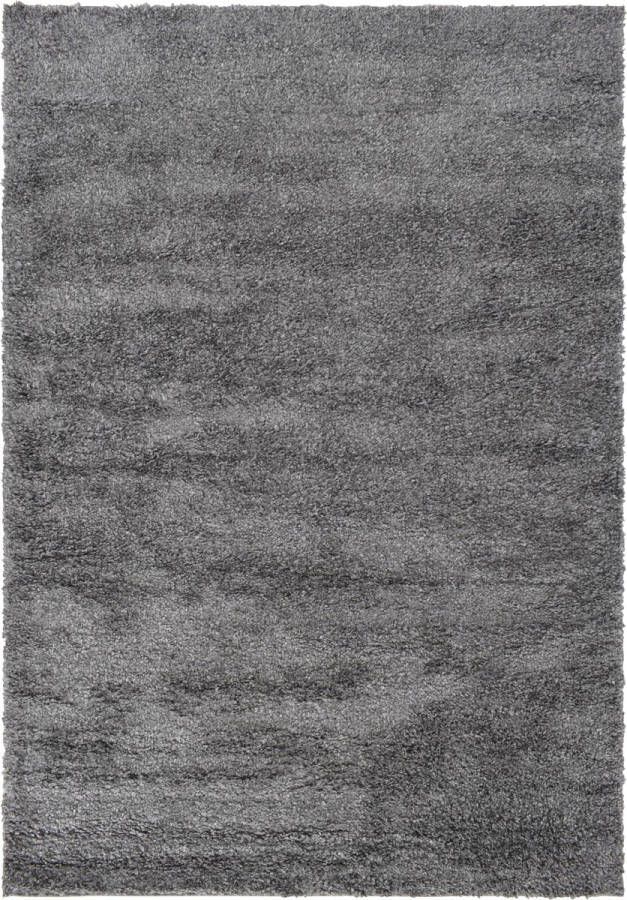 Vercai Rugs Parma Collectie Hoogpolig Vloerkleed Shaggy Tapijt voor Woonkamer Polyester Grijs 80x150 cm