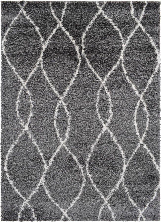 Vercai Rugs Parma Collectie Hoogpolig Vloerkleed Shaggy Tapijt voor Woonkamer Polyester Zilver Ivoor 160x230 cm