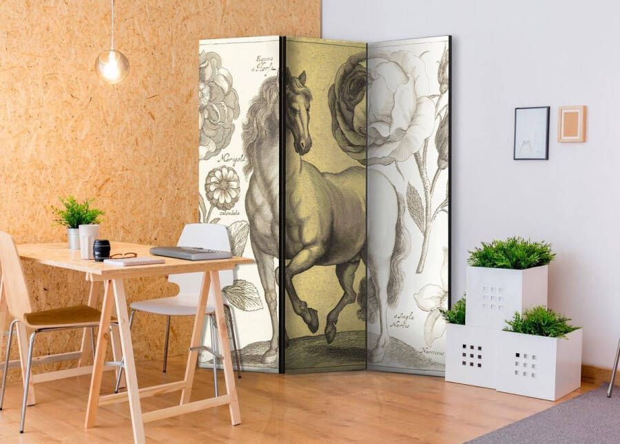 Vertical Decoration.com Vouwscherm Horse Kamerscherm 3 Panelen