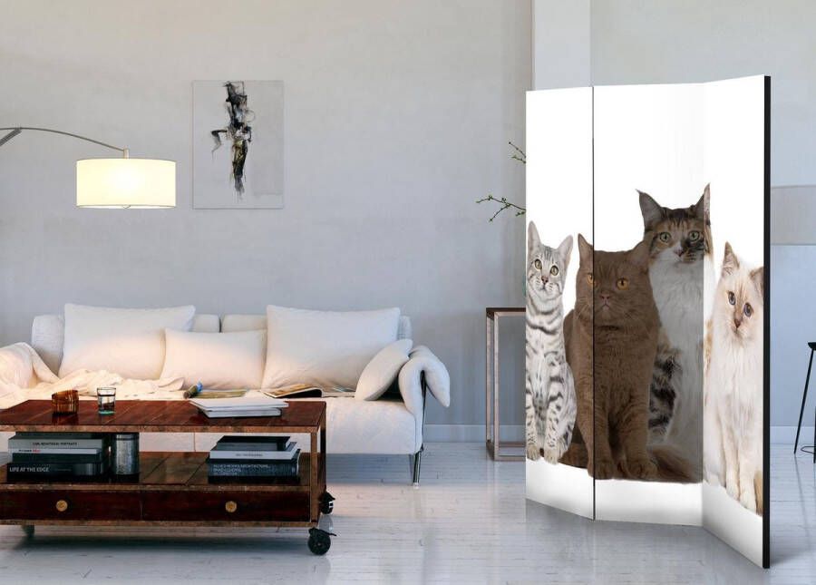 Vertical Decoration.com Vouwscherm Sweet Cats Kamerscherm 3 Panelen