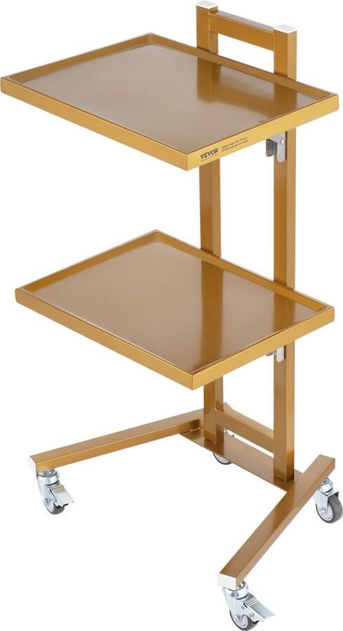 Vevor 39.5 x 48 x 85 cm Laboratoriumwagen 2-laags Roestvrij Staal 201 met Laden Draagvermogen 25 kg Vier TPR-Zwenkwielen 360° Zwenk voor Laboratorium Ziekenhuis Tandartspraktijk Salon