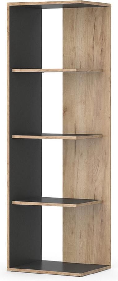 Vicco Boekenkast Paco Antraciet Krachtige eik goud 44 x 140 cm