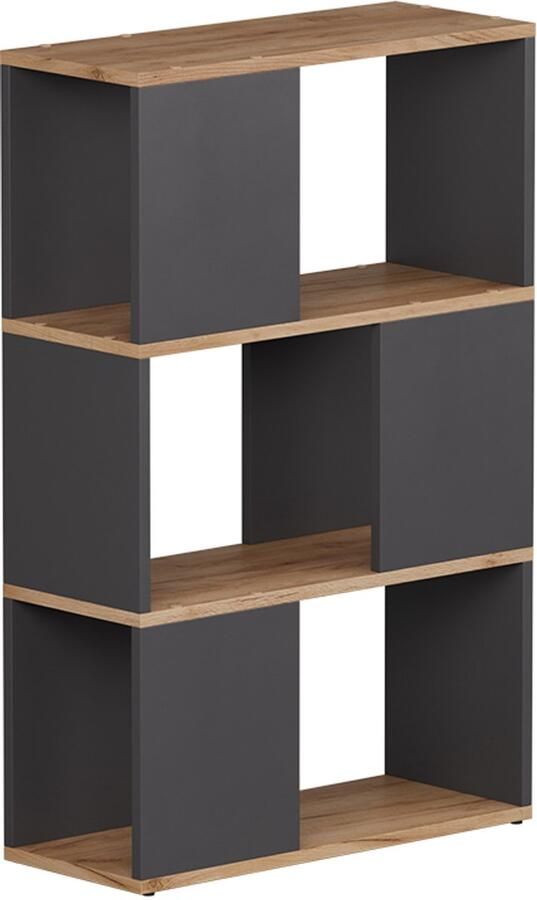 Vicco Eneos Kamerverdeler – 60 x 94 cm Antraciet gouden eik