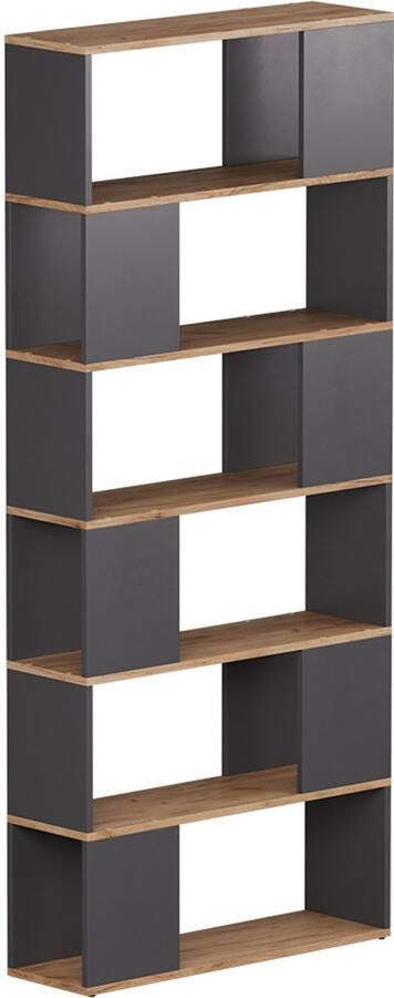 Vicco Eneos Ruimteverdeler – 80 x 186 cm Antraciet gouden eik