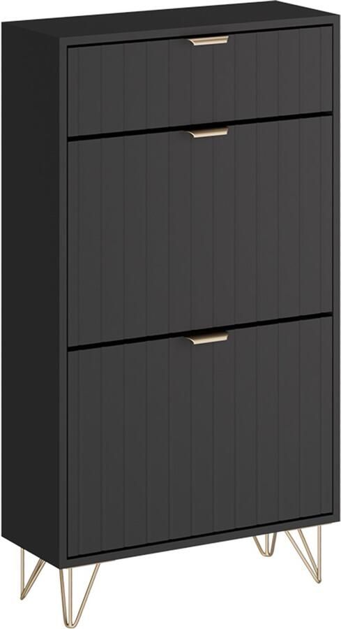 Vicco Helge Schoenenkast – 60 x 107.5 cm 2 compartimenten Zwart 2 compartimenten