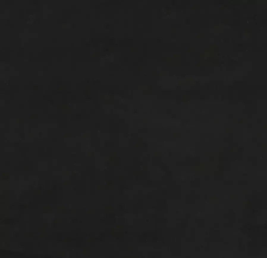 VidaXL -Bedframe-fluweel-zwart-90x200-cm - Foto 6