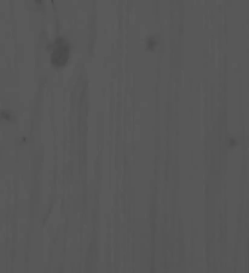 VIDAXL Bedframe massief hout grijs 75x190 cm 2FT6 Small Single - Foto 2
