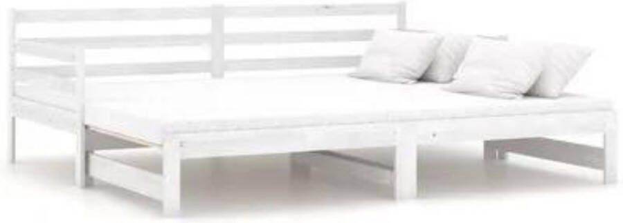 VidaXL Daybed Slaapbank 2*90x200 Zonder matras Hout Lange levensduur