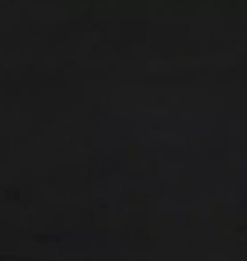 VidaXL Eetkamerstoelen 2 st fluweel zwart