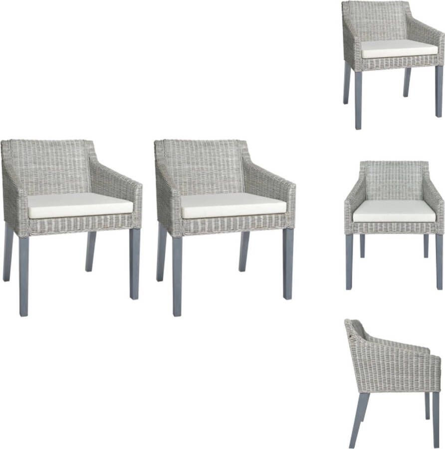 VidaXL Eetkamerstoelen Rattan 60 x 60 x 79 cm Grijs Set van 2 Eetkamerstoel