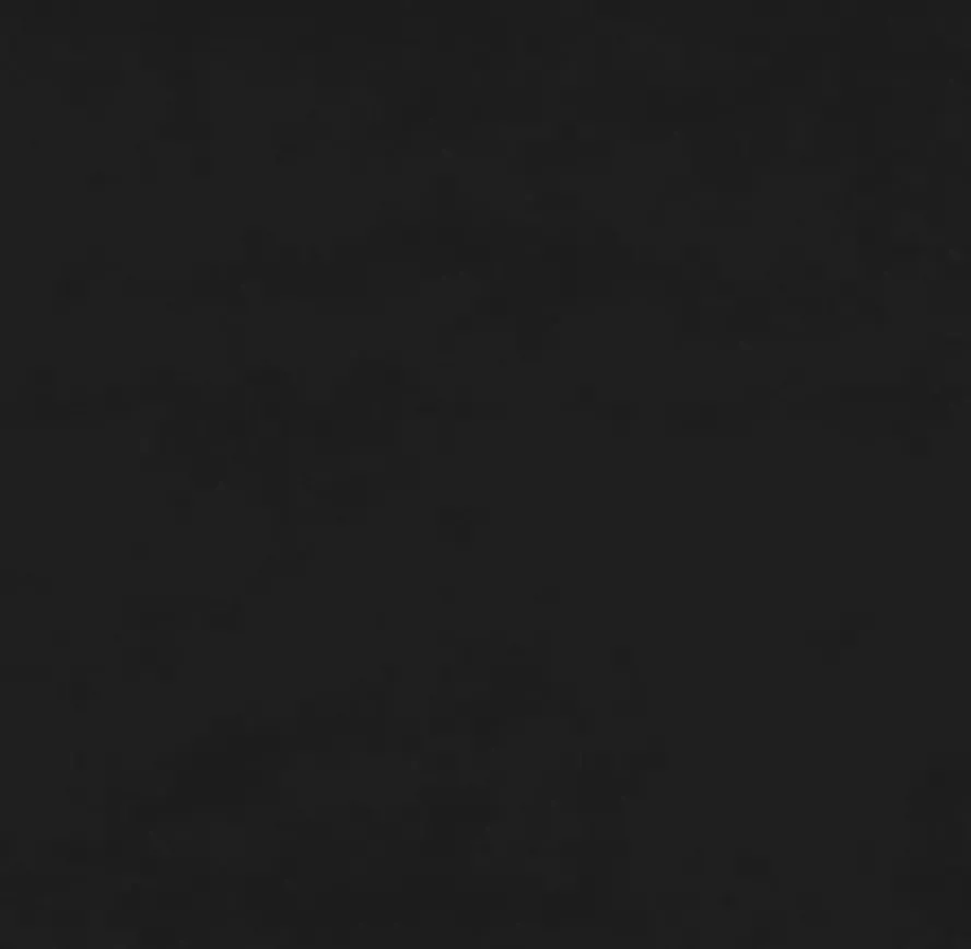 VidaXL Fauteuil 60 cm fluweel zwart - Foto 2