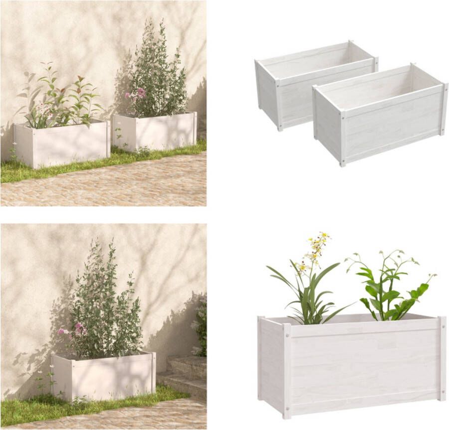 VidaXL Plantenbakken 2 st 100x50x50 cm massief grenenhout wit Plantenbak Plantenbakken Verhoogde Tuinbak Verhoogde Plantenbak