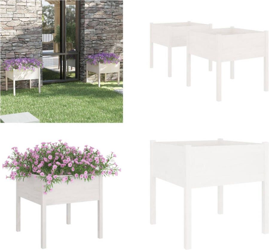 VidaXL Plantenbakken 2 st 70x70x70 cm massief grenenhout wit Tuinbakken Houten Plantenbakken Grenenhout Bloempotten Tuininrichting Buitenplanten Plantenbak Plantenbakken Verhoogde Tuinbak Verhoogde Plantenbak
