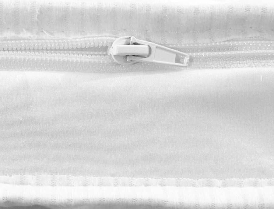 VidaXL -Topmatras-ei-profiel-6-cm-koudschuim-80x200-cm