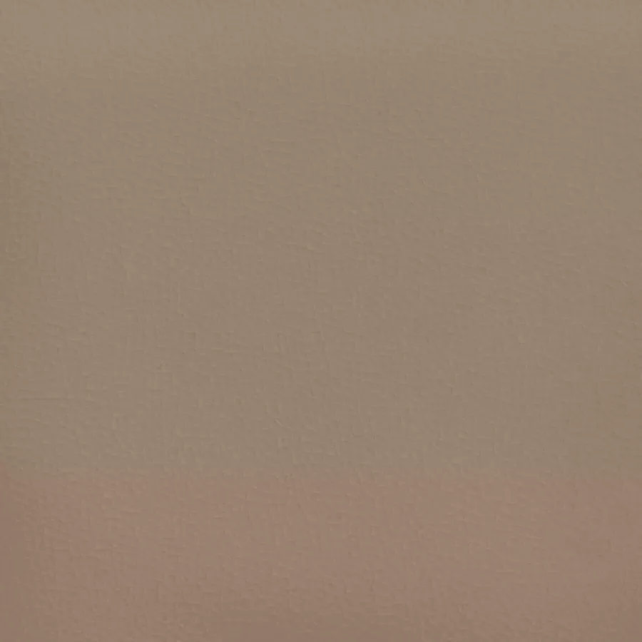 VidaXL Tweezitsbank 120 cm kunstleer cappuccinokleurig - Foto 3