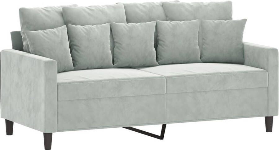 The Living Store Bank Fluweel 2-Zitsbank 158 x 77 x 80 cm Lichtgrijs Comfortabel fluwelen bankstel met stevig metalen frame Tweezitsbank Fluweel Sofa Grijze Bank Salon Meubilair Comfortabele Bank - Foto 2