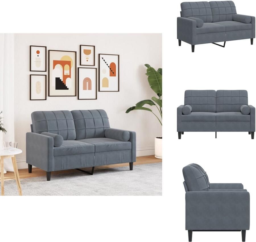 VidaXL 2-zitsbank 2-zitsbanken Bank Loveseat Tweezitsbank met sierkussens 120 cm fluweel donkergrijs