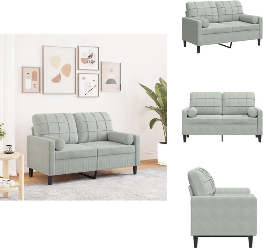 VidaXL 2-zitsbank 2-zitsbanken Bank Loveseat Tweezitsbank met sierkussens 120 cm fluweel lichtgrijs