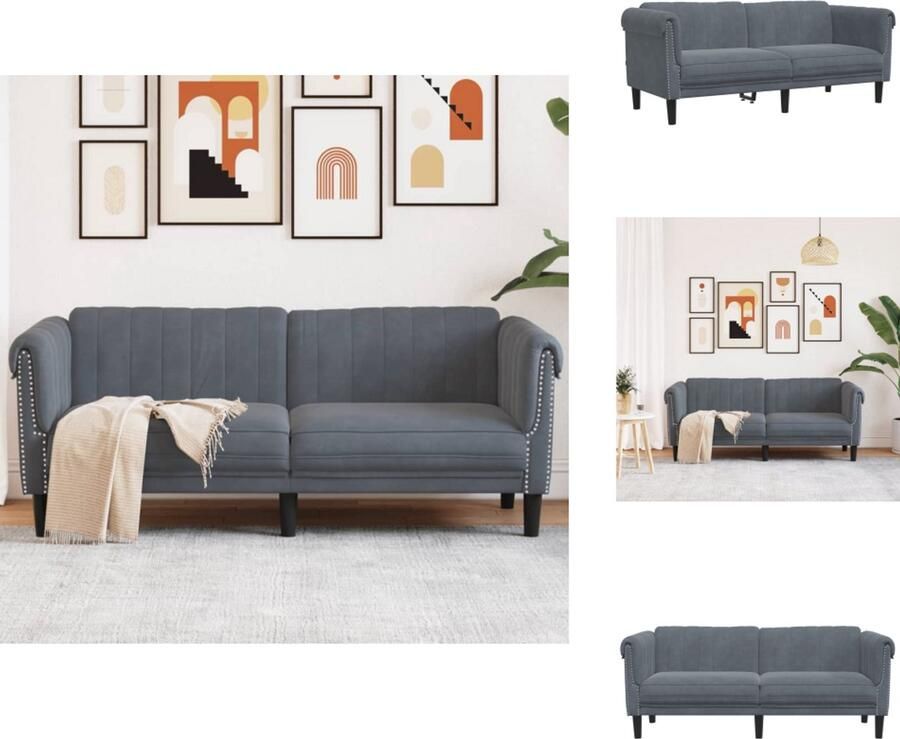 VidaXL 2-zitsbank 2-zitsbanken Bank Sofa 2-zitsbank fluweel donkergrijs