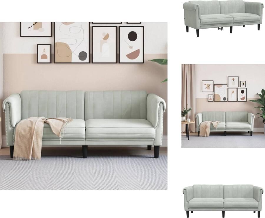 VidaXL 2-zitsbank 2-zitsbanken Bank Sofa 2-zitsbank fluweel lichtgrijs