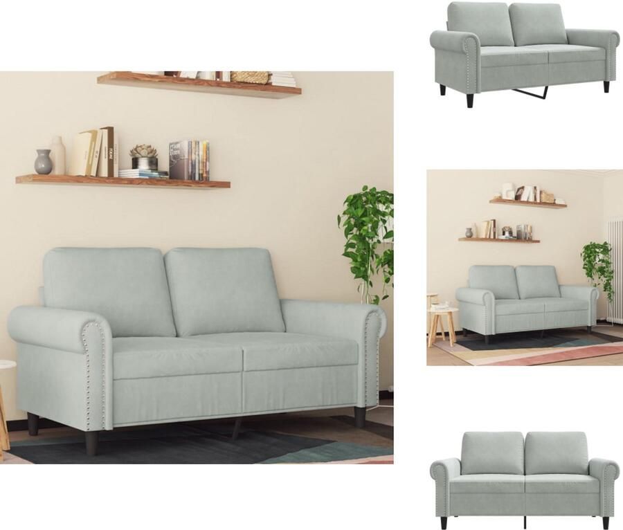 VidaXL 2-zitsbank 2-zitsbanken Bank Sofa Tweezitsbank 120 cm fluweel lichtgrijs