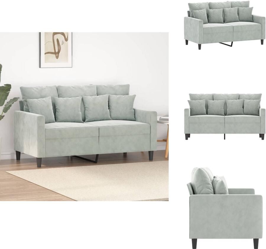 VidaXL 2-zitsbank 2-zitsbanken Bank Sofa Tweezitsbank 120 cm fluweel lichtgrijs