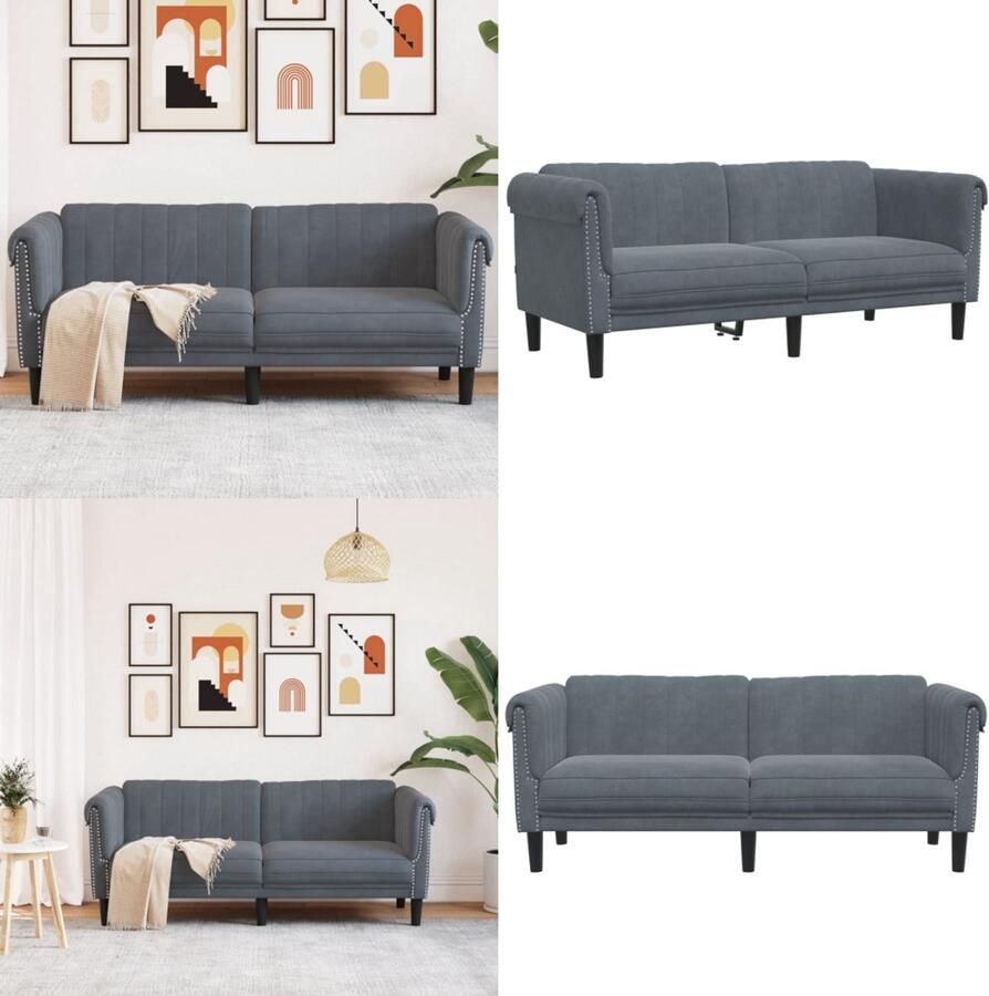 VidaXL 2-zitsbank fluweel donkergrijs 2-zitsbank 2-zitsbanken Bank Sofa