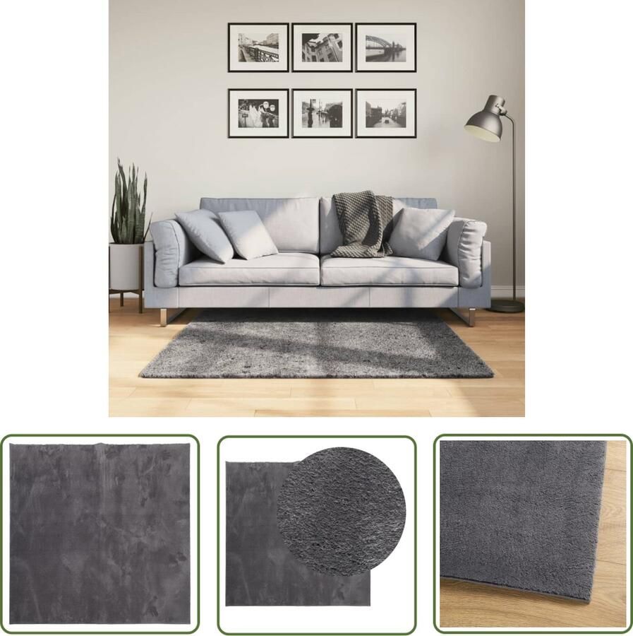 The Living Store Vloerkleed HUARTE laagpolig zacht wasbaar 120x120 cm antraciet Vloerkleed Anthraciethoudend Zacht Vloerkleed Polyester Vloerkleed Anti Slip Vloerkleed