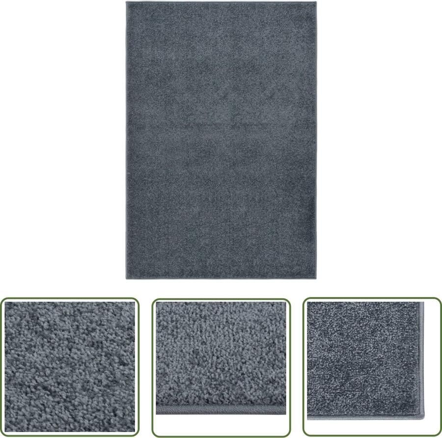 The Living Store Vloerkleed Antraciet 160x230 cm 100% PP 10 mm poolhoogte Vloerkleed Anthraciethoudend Polypropylene Korte Vezel Anti-allergeen