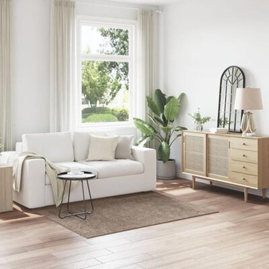 VidaXL Vloerkleed Bruin Polypropeen 120 x 170 cm Vloerkleed