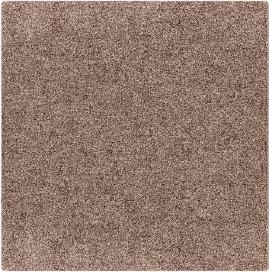 VidaXL Vloerkleed Bruin Polyester 200 x 200 cm Vloerkleed Vierkant