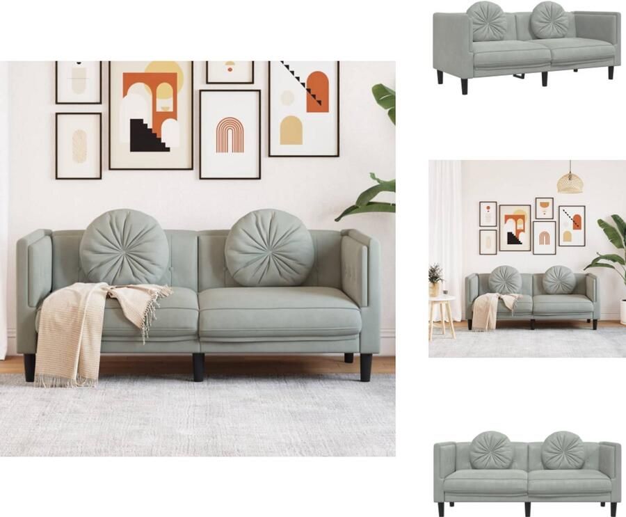 VidaXL Bank Banken 2-zitsbank Loveseat Bank met kussens 2-zits fluweel lichtgrijs