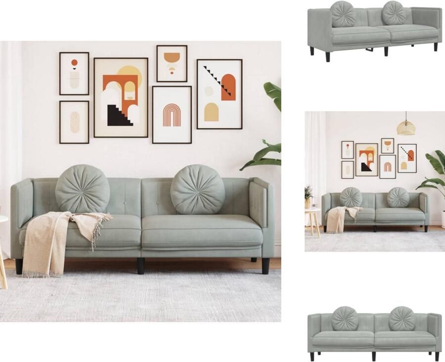 VidaXL Bank Banken Sofa Tuinbank Bank met kussens 3-zits fluweel lichtgrijs