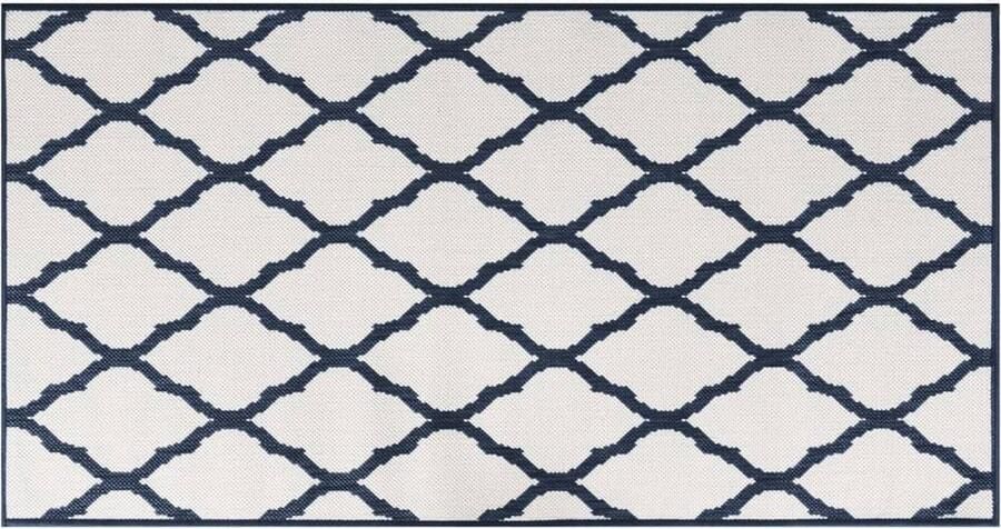 VidaXL Buitenkleed Omkeerbaar 80x150cm Blauw Wit Buitenkleed Terraskleden Tuin Kleden Marijn Blauw Wit