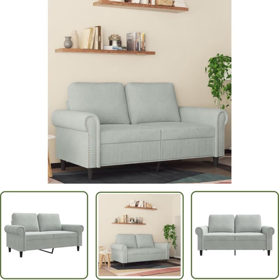The Living Store 2-zitsbank fluweel 152 x 77 x 80 cm Lichtgrijs Stevig metalen frame Tweezitsbank Fluweel Sofa Lichtgrijs Bank Salon Meubilair Lounge Furniture