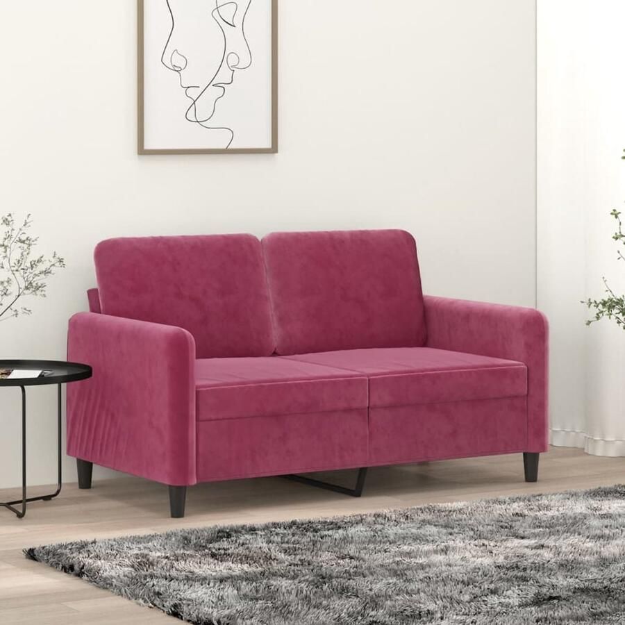 The Living Store 2-zitsbank Fluweel 138 x 77 x 80 cm Wijnrood metaal frame en Comfortabele zitervaring Tweezitsbank Fluweel Sofa Rode Bank Banks Kopen Salon Meubilair