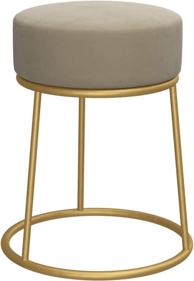 VidaXL -Hocker-rond-fluweel-donkergrijs