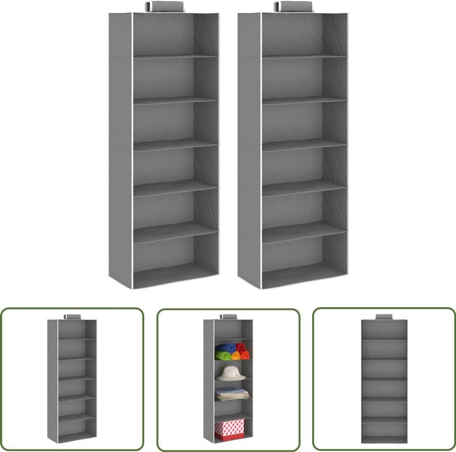 VidaXL Hangende Kledingorganisers 2 st 6 schappen Hangende Organizer Kledingorganizer Kasten Organisatie Opbergruimte Kastindeling