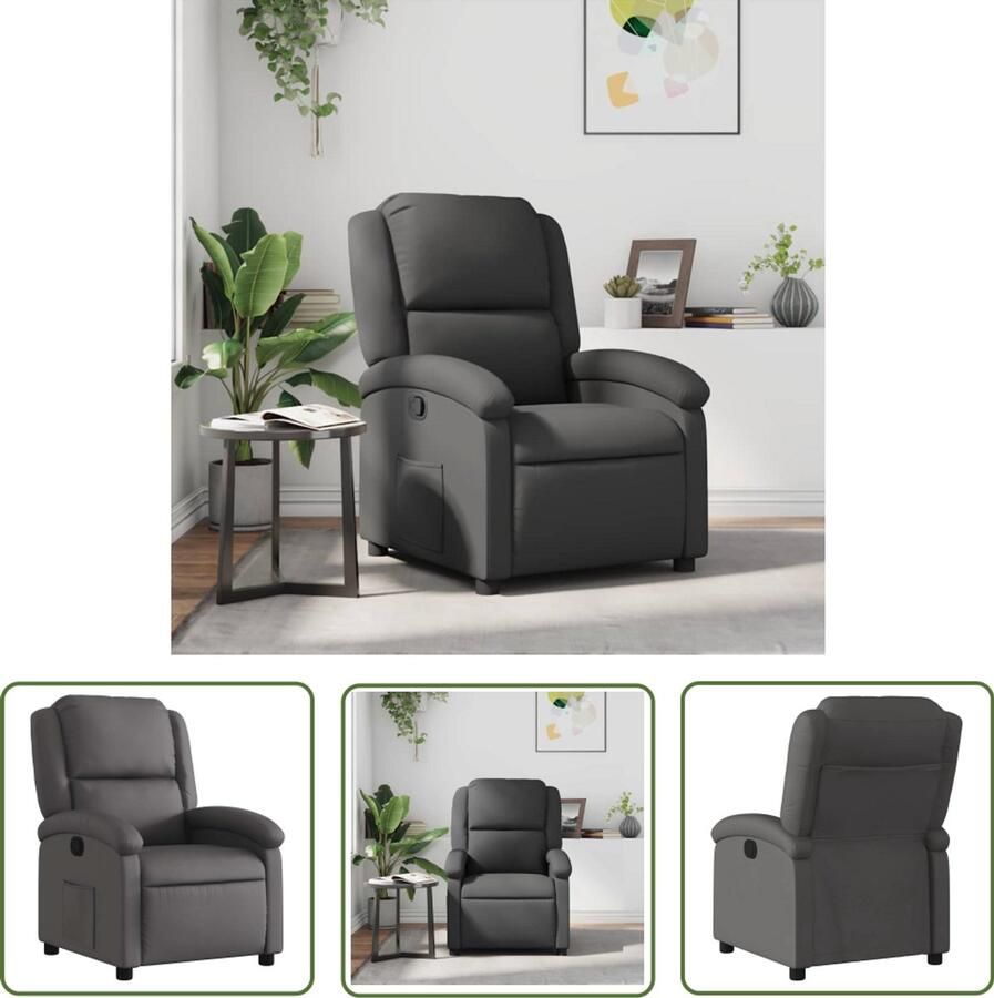 VidaXL Fauteuil echt leer grijs Fauteuil Lederen Fauteuil Lounge Stoel Relaxstoel Leesstoeltje